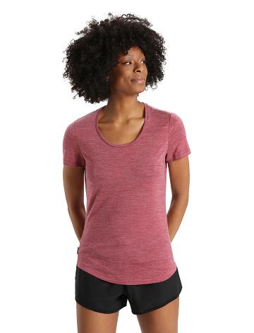 Cherry Heather Icebreaker Merino Sphere II Short Sleeve Scoop Women's T Shirts | AU 1585JPQJ